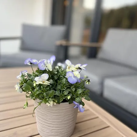 Goralove שצ'צ'ירק