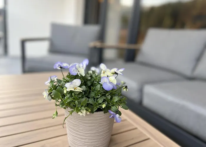 Goralove שצ'צ'ירק